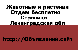 Животные и растения Отдам бесплатно - Страница 2 . Ленинградская обл.